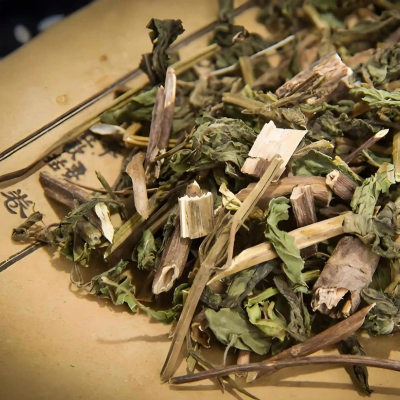 Mentha haplocalyx (Peppermint)