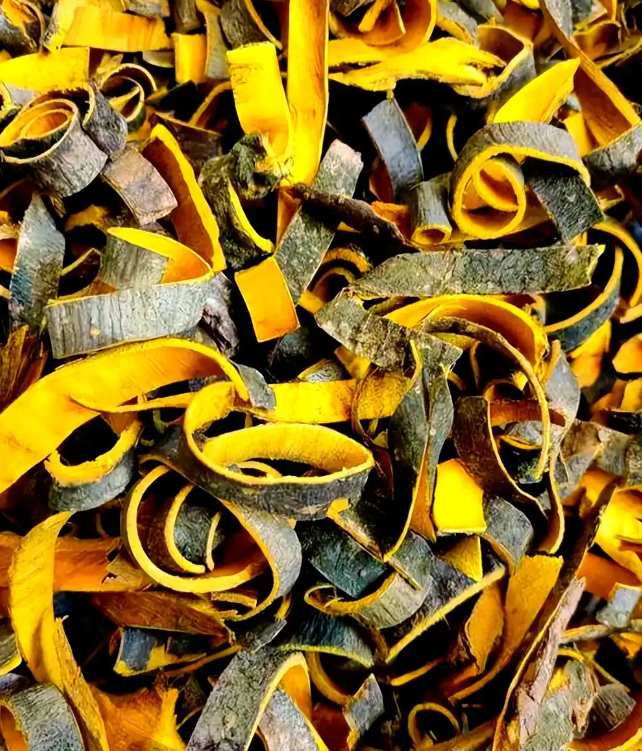 Phellodendron chinense Bark